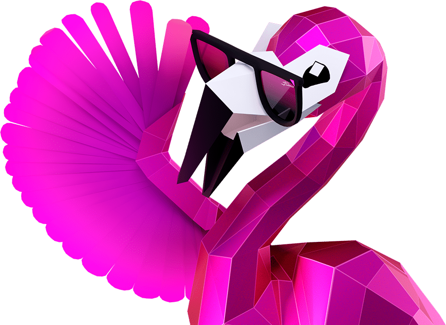 Pinky the Flamingo Sliding Glasses