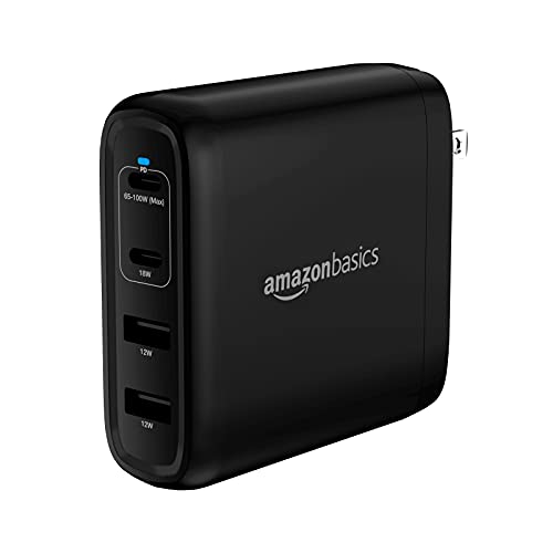 Amazon Basics 100W Charger