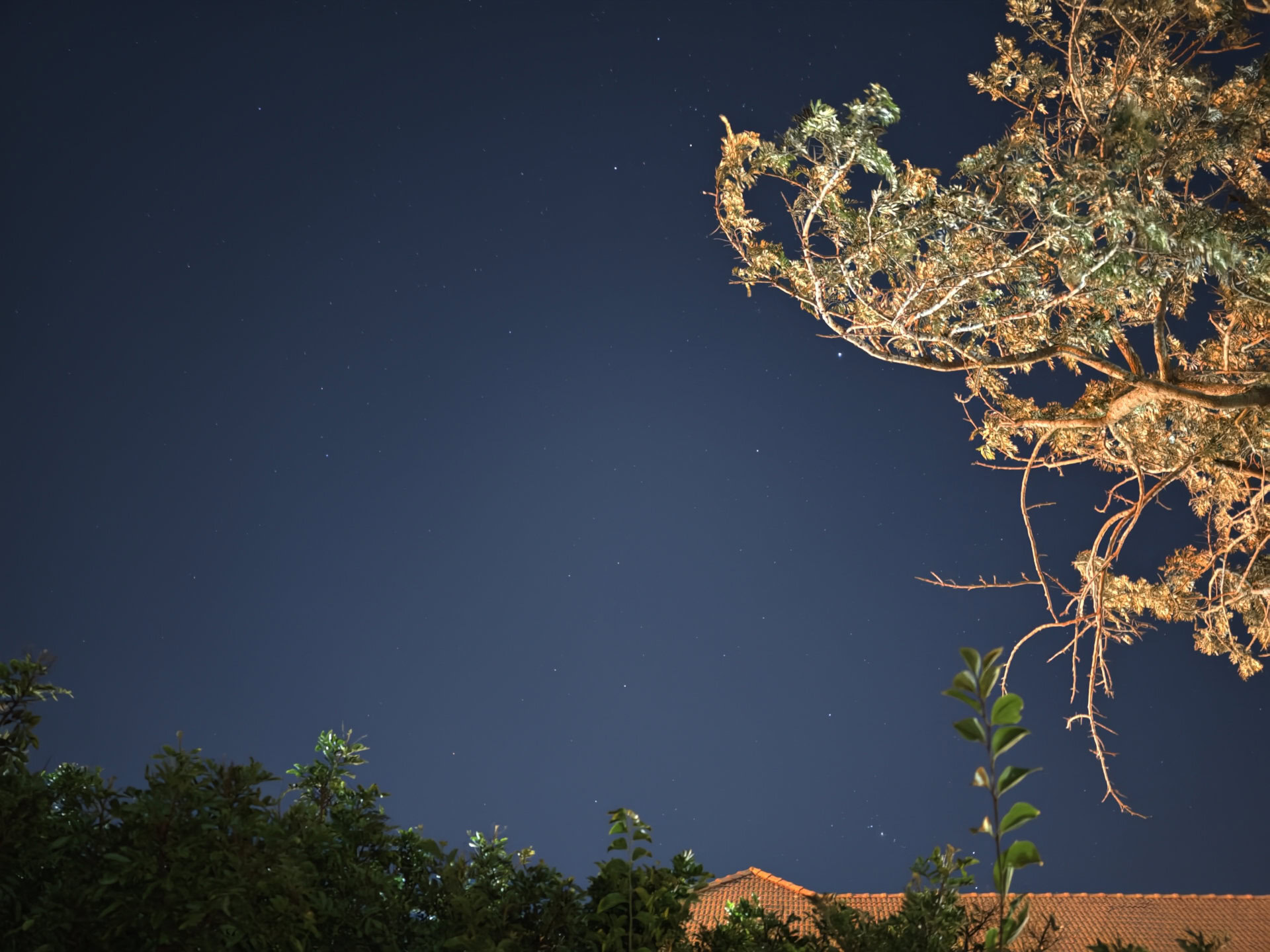 vivo X200 Ultra astrophotography 1x