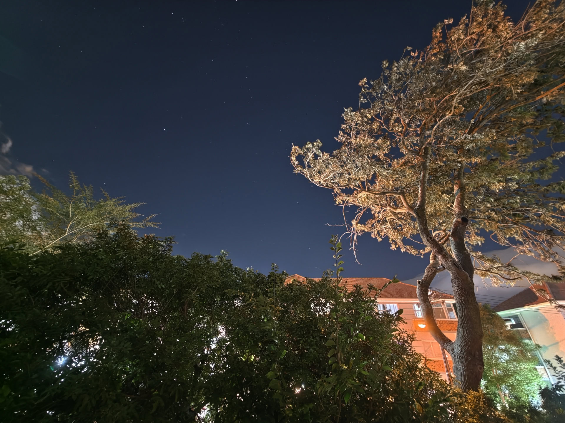 vivo X200 Ultra astrophotography ultrawide