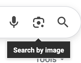 Icon of a camera with the text