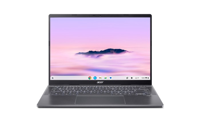 Acer Chromebook Plus Enterprise 714 with a sleek design, featuring a WUXGA display showing a purple and pink cloud landscape.