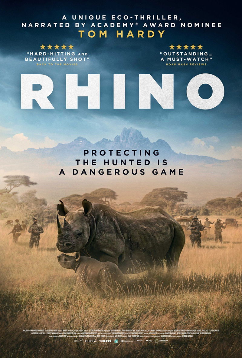 Rhino Doc Poster