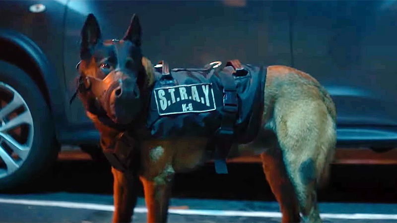 Muzzle: City of Wolves Trailer