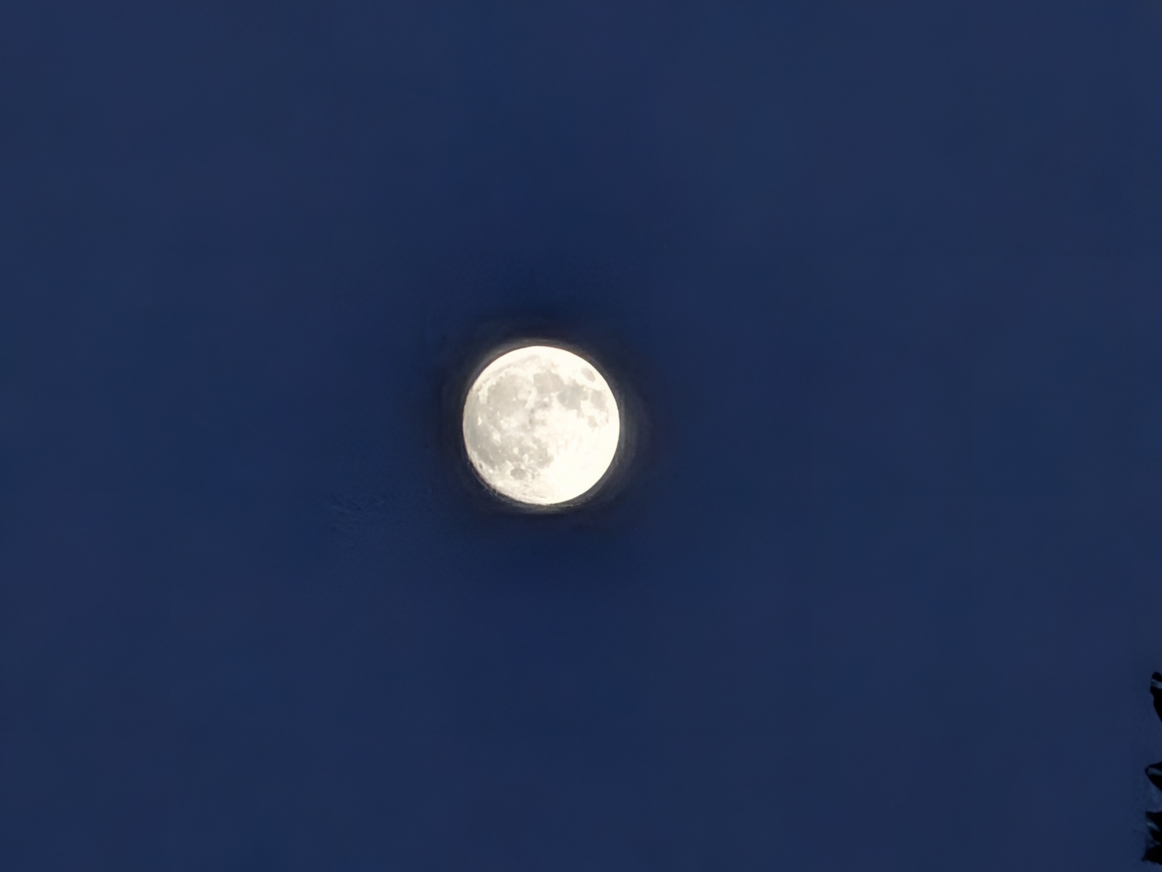 Google Pixel 10 Pro Fold camera samples